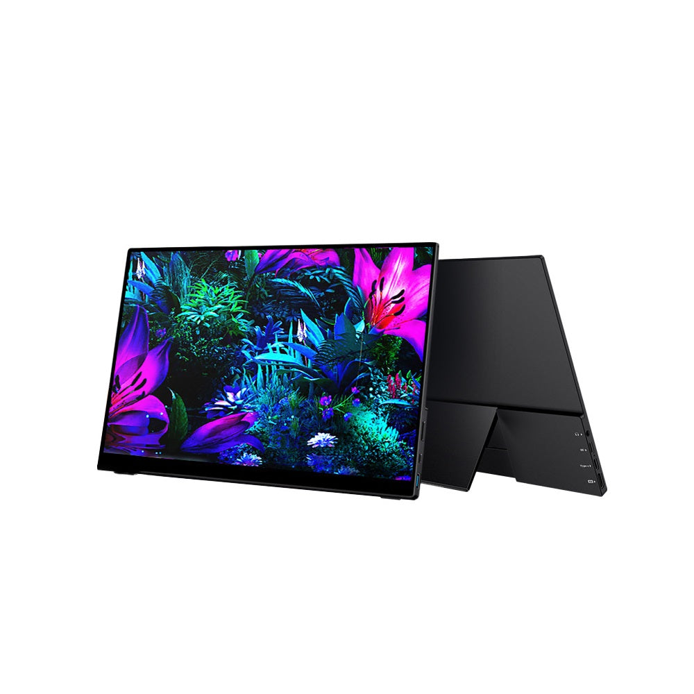 V2com OLED Portable Monitor X2